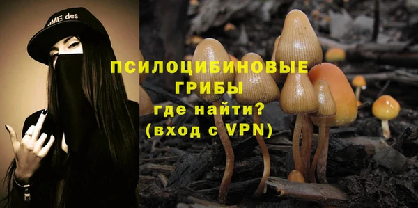 шишки Липки