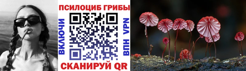 Галлюциногенные грибы мухоморы  blacksprut ТОР  Сокол 