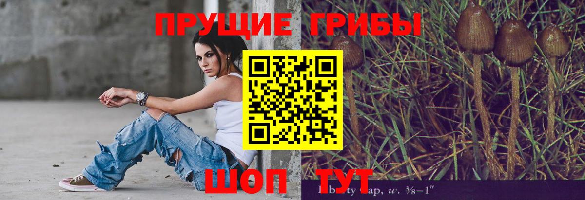 Галлюциногенные грибы GOLDEN TEACHER Сокол